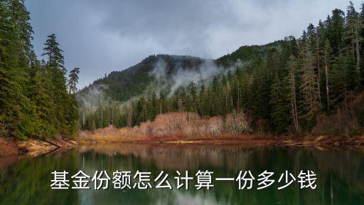  基金份額怎么計(jì)算一份多少錢(qián)
