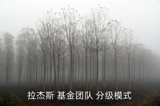 拉杰斯 基金團(tuán)隊(duì) 分級(jí)模式