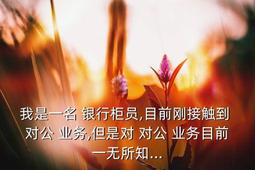 我是一名 銀行柜員,目前剛接觸到 對公 業(yè)務,但是對 對公 業(yè)務目前一無所知...