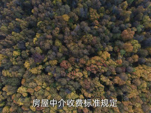 房屋中介收費標(biāo)準(zhǔn)規(guī)定