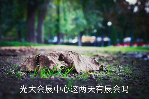 中國上海國際婚紗攝影器材展覽會(huì),上?；榧啍z影器材展2023時(shí)間