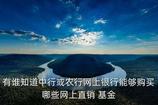有誰(shuí)知道中行或農(nóng)行網(wǎng)上銀行能夠購(gòu)買哪些網(wǎng)上直銷 基金