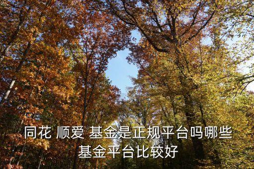 同花順愛(ài)基金網(wǎng)頁(yè)