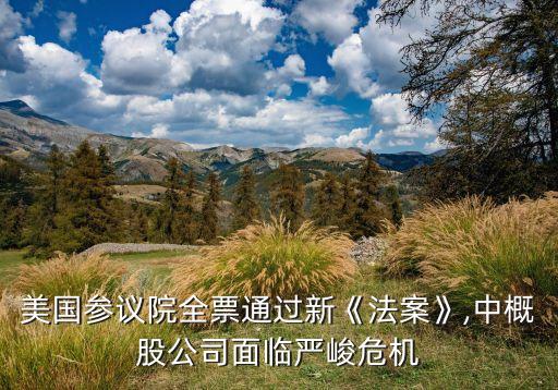 美國(guó)參議院全票通過新《法案》,中概股公司面臨嚴(yán)峻危機(jī)