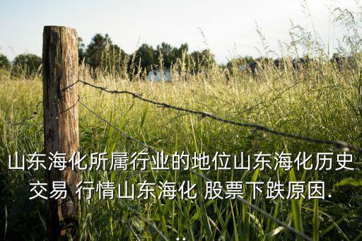 山東?；鶎傩袠I(yè)的地位山東海化歷史交易 行情山東?；?股票下跌原因...