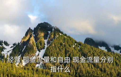 公司的自有現金流,公司現金流多少正常