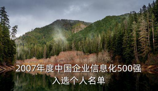 2007年度中國企業(yè)信息化500強(qiáng)入選個人名單