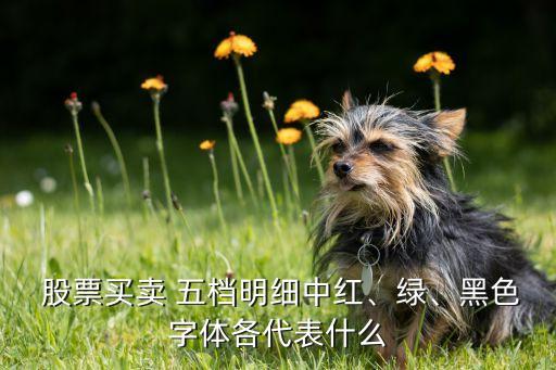  股票買賣 五檔明細(xì)中紅、綠、黑色字體各代表什么
