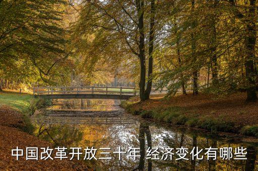 中國改革開放三十年 經濟變化有哪些