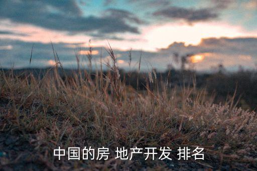中國的房 地產開發(fā) 排名