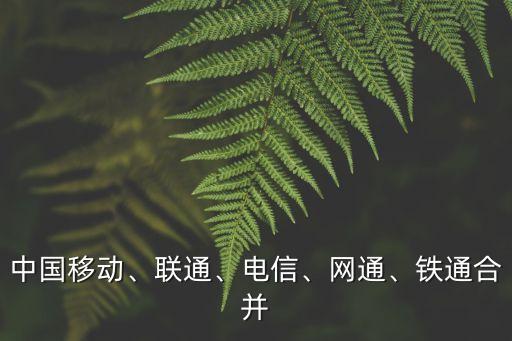 中國移動、聯(lián)通、電信、網(wǎng)通、鐵通合并