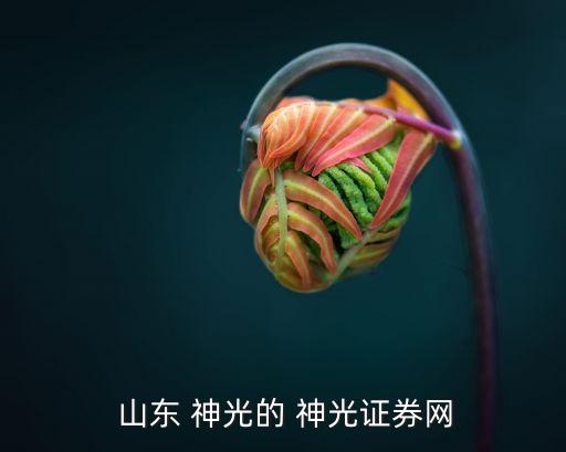  山東 神光的 神光證券網
