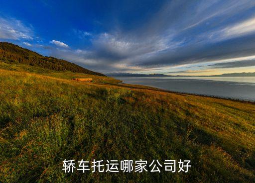 轎車托運(yùn)哪家公司好