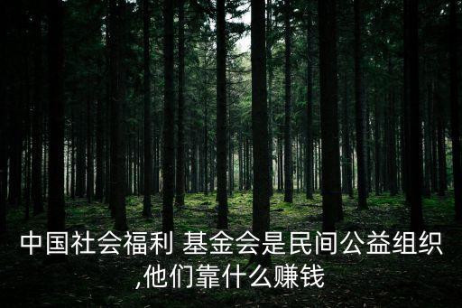 基金會(huì)如何盈利,老?；饡?huì)靠什么盈利