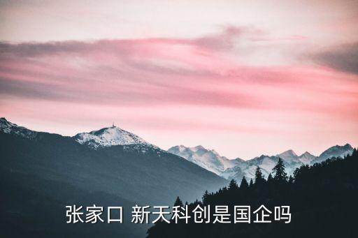 新天綠色能源股份有限公司電話(huà),河北新天綠色能源股份有限公司