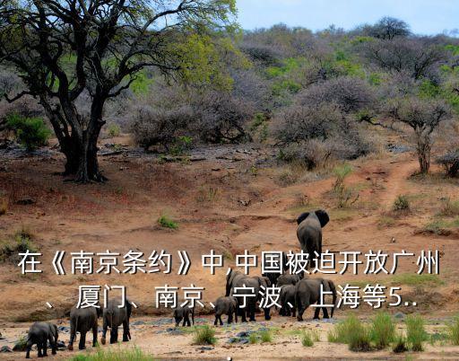 在《南京條約》中,中國(guó)被迫開放廣州、 廈門、南京、寧波、上海等5...