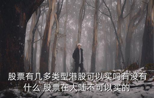 香港中國(guó)軟件國(guó)際股票,香港國(guó)際股票實(shí)時(shí)行情