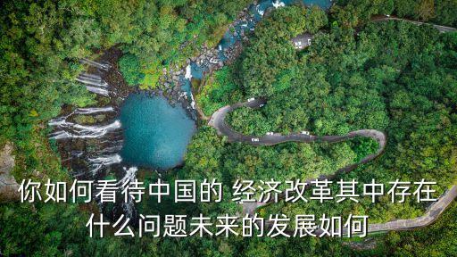 你如何看待中國的 經濟改革其中存在什么問題未來的發(fā)展如何