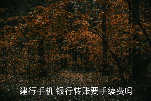  建行手機 銀行轉賬要手續(xù)費嗎