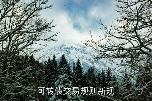 可轉債交易規(guī)則新規(guī)