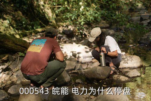 000543 皖能 電力為什么停盤(pán)