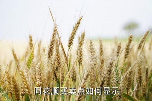  同花順買(mǎi)賣(mài)點(diǎn)如何顯示