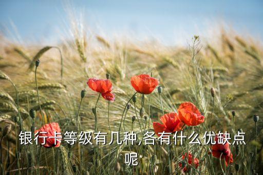 各銀行高端借記卡比較,哪個銀行的高端借記卡權(quán)益好