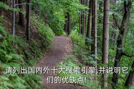 請列出國內(nèi)外十大搜索引擎,并說明它們的優(yōu)缺點(diǎn)!