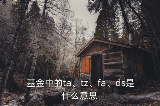  基金中的ta、tz、fa、ds是什么意思