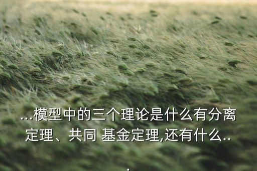 ...模型中的三個理論是什么有分離定理、共同 基金定理,還有什么...