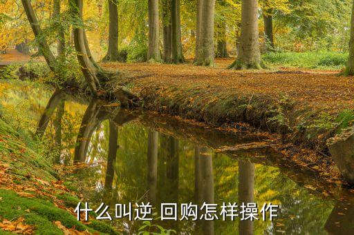 什么叫逆 回購(gòu)怎樣操作