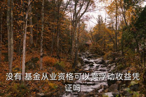 沒(méi)有 基金從業(yè)資格可以賣(mài)浮動(dòng)收益憑證嗎