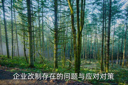 企業(yè)改制存在的問題與應(yīng)對(duì)對(duì)策