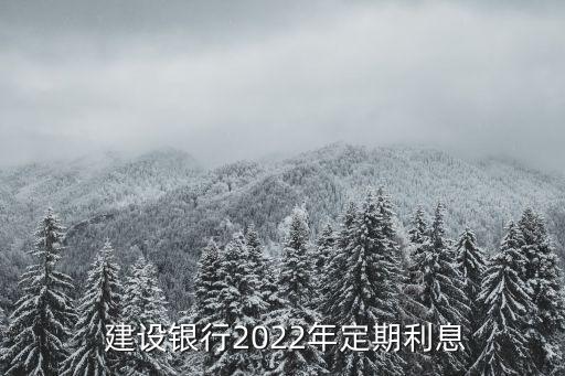  建設銀行2022年定期利息