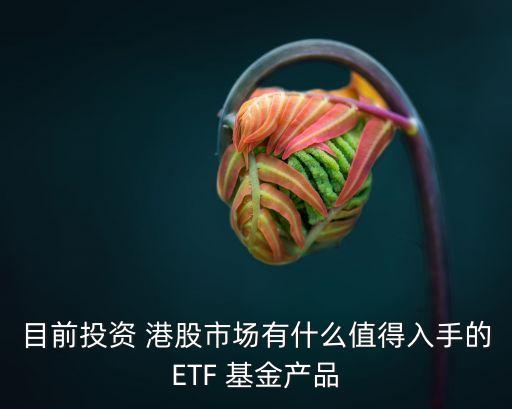 港股基金哪些,港股恒生指數基金有哪些