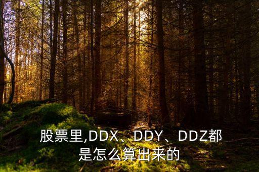  股票里,DDX、DDY、DDZ都是怎么算出來的