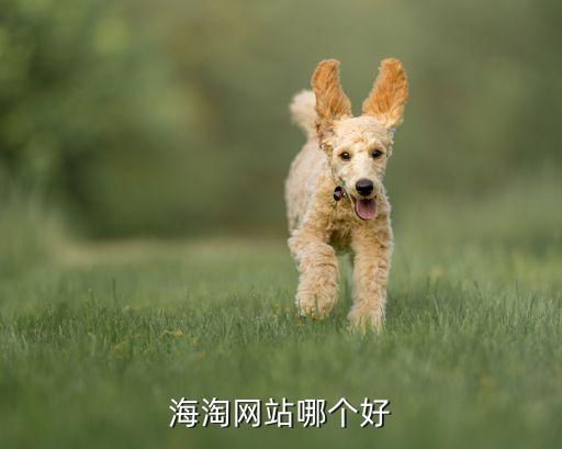 上?？缇畴娚躺鲜泄?跨境電商的上市公司龍頭股