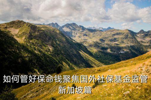 如何管好保命錢(qián)聚焦國(guó)外社保基金監(jiān)管新加坡篇