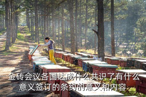  金磚會議各國達(dá)成什么共識了有什么意義簽訂的條約的意義和內(nèi)容