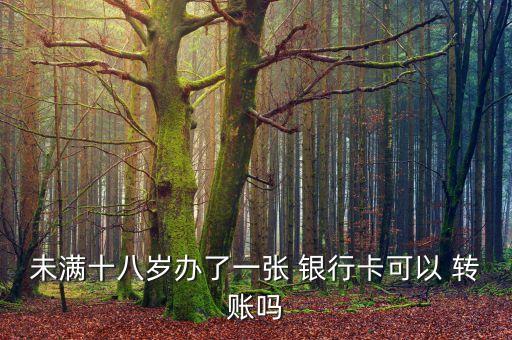 未滿(mǎn)十八歲辦了一張 銀行卡可以 轉(zhuǎn)賬嗎