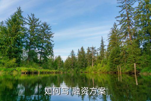 如何寫(xiě) 融資方案