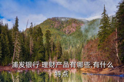  浦發(fā)銀行 理財產(chǎn)品有哪些,有什么特點(diǎn)