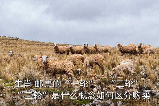  生肖 郵票的“一輪”、“二輪”、“ 三輪”是什么概念如何區(qū)分購(gòu)買