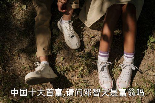 中國十大首富,請(qǐng)問鄧智天是富翁嗎