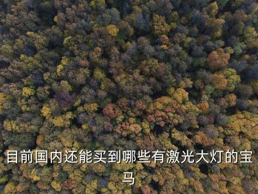 在中國(guó)還可以買(mǎi)什么,中國(guó)買(mǎi)什么槍合法