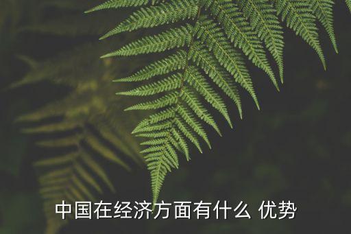 中國在經(jīng)濟(jì)方面有什么 優(yōu)勢(shì)