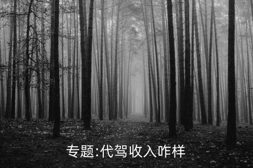 專(zhuān)題:代駕收入咋樣