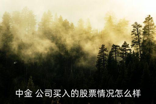 中金 公司買(mǎi)入的股票情況怎么樣
