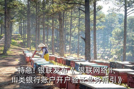 特急! 銀聯(lián)發(fā)布《 銀聯(lián)網(wǎng)絡(luò)II、III類銀行賬戶開戶驗證業(yè)務(wù)指引》