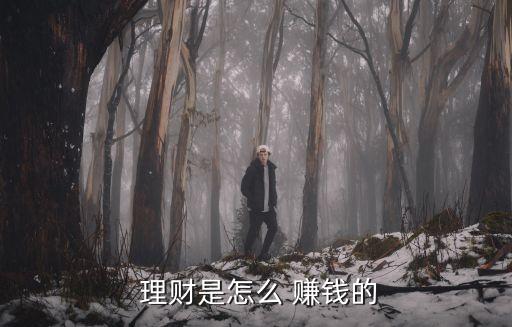 理財(cái)是怎么 賺錢(qián)的
